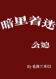 暗里着迷网剧